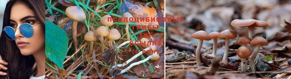 мет Аркадак