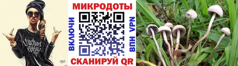 blacksprut рабочий сайт площадка наркотические препараты Галлюциногенные грибы GOLDEN TEACHER где можно купить наркотик Шатура